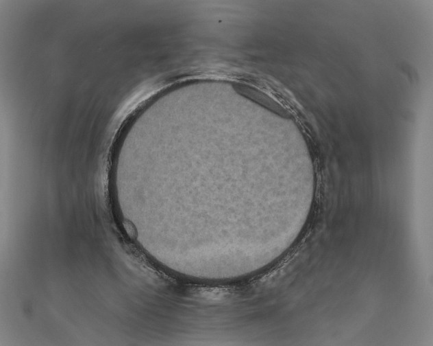 X0000111440344200908241149
