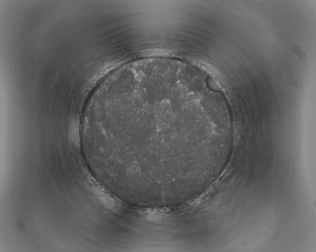 X0000111440345200908241149