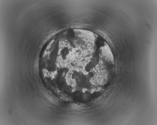 X0000111440346200908241149