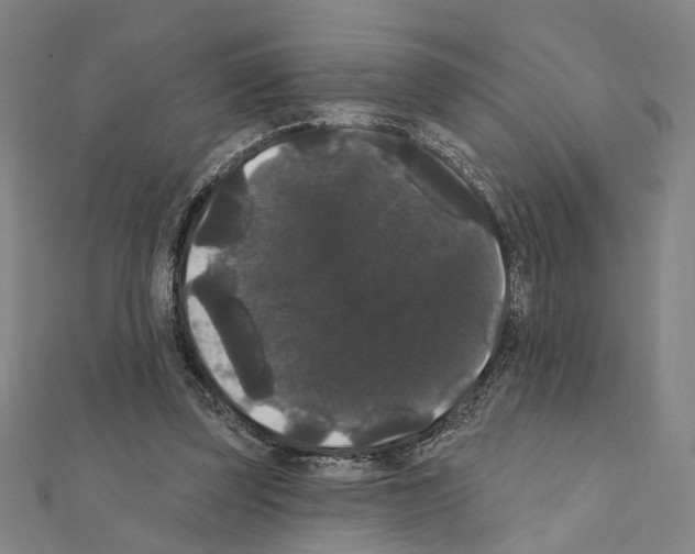 X0000111440347200908241149