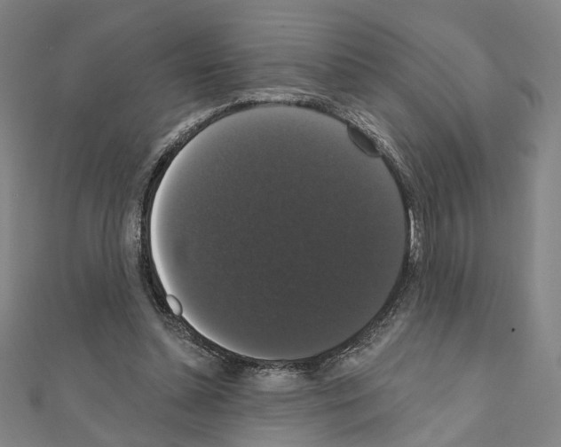X0000111440348200908241149