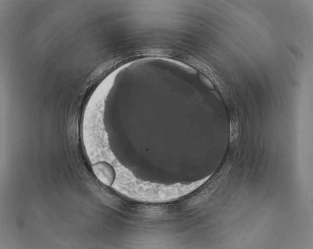X0000111440349200908241149