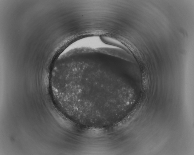 X0000111440350200908241149