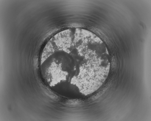X0000111440351200908241149