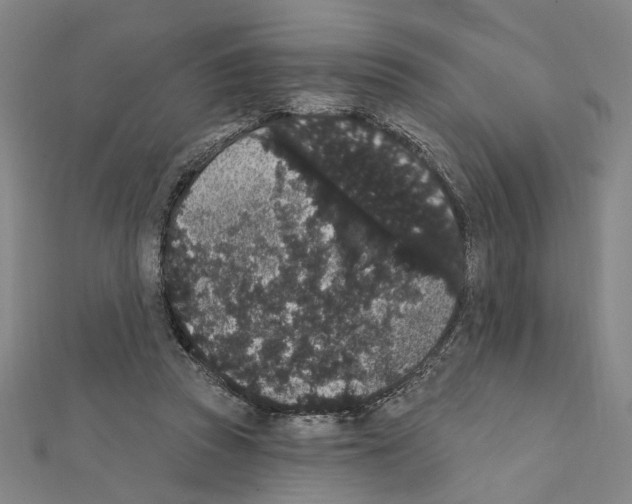 X0000111440353200908241149