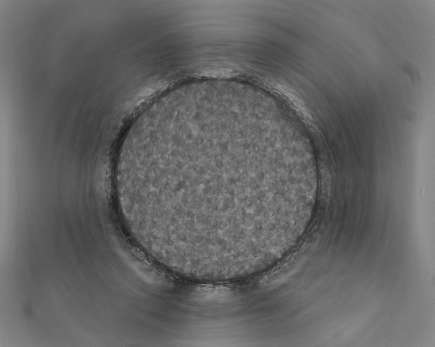 X0000111440354200908241149
