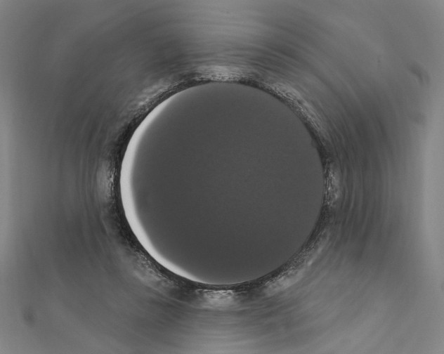 X0000111440355200908241149