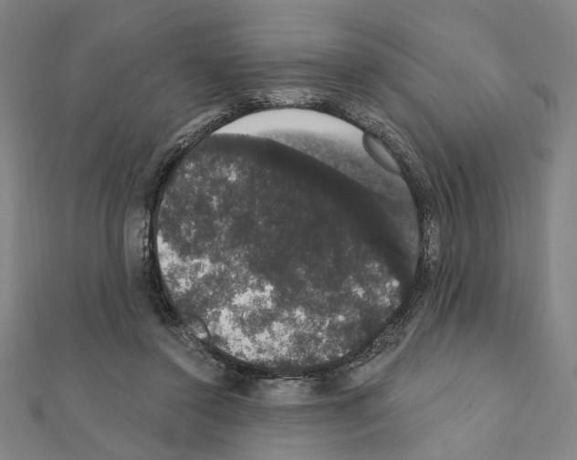 X0000111440356200908241149