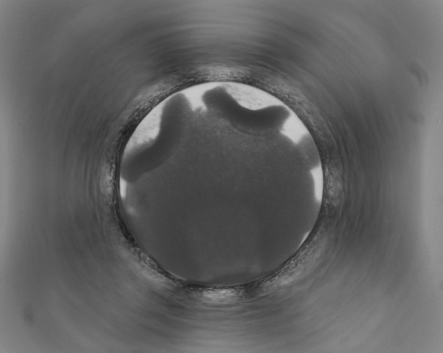 X0000111440357200908241149