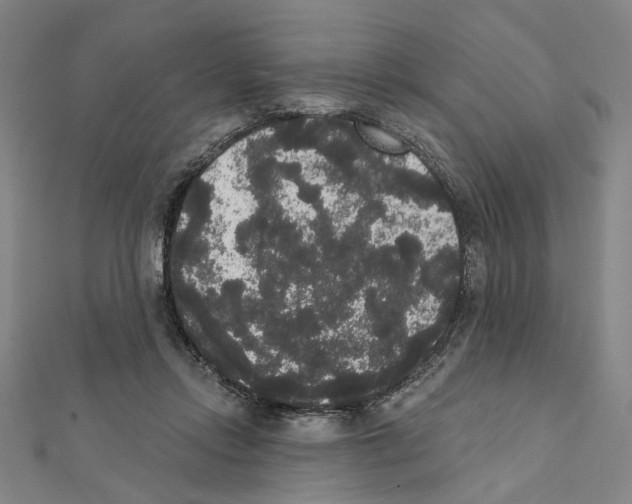 X0000111440358200908241149