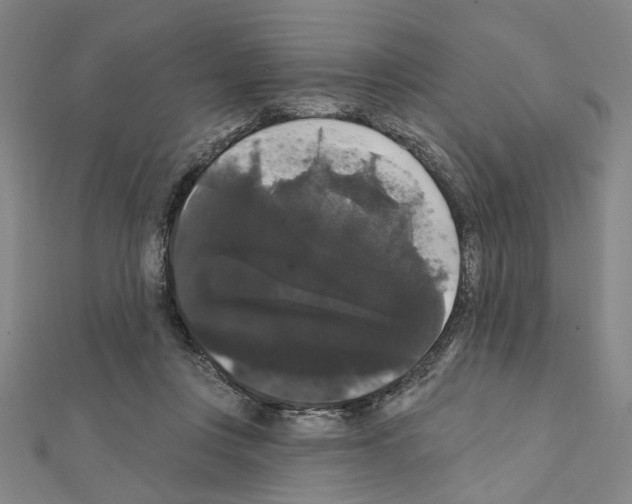 X0000111440359200908241149