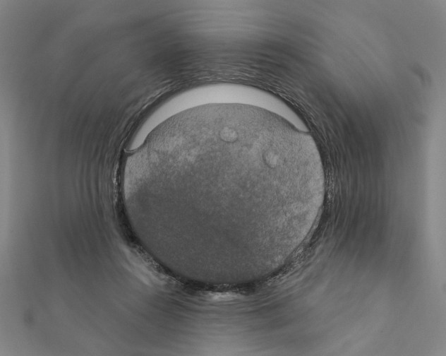 X0000111440360200908241149