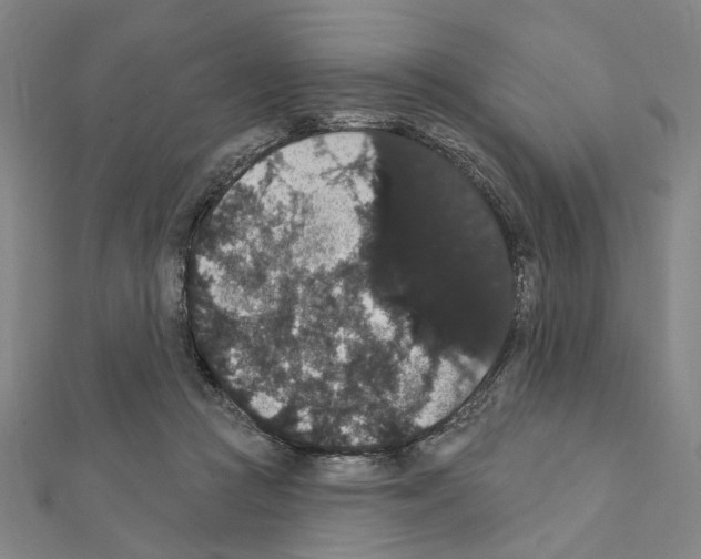 X0000111440361200908241149