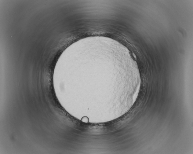 X0000111440362200908241149