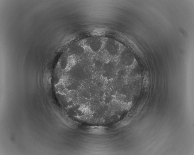 X0000111440363200908241149