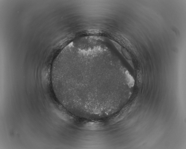 X0000111440364200908241149