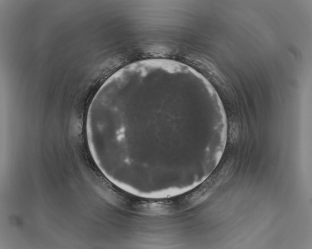 X0000111440365200908241149