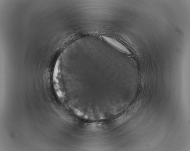 X0000111440366200908241149
