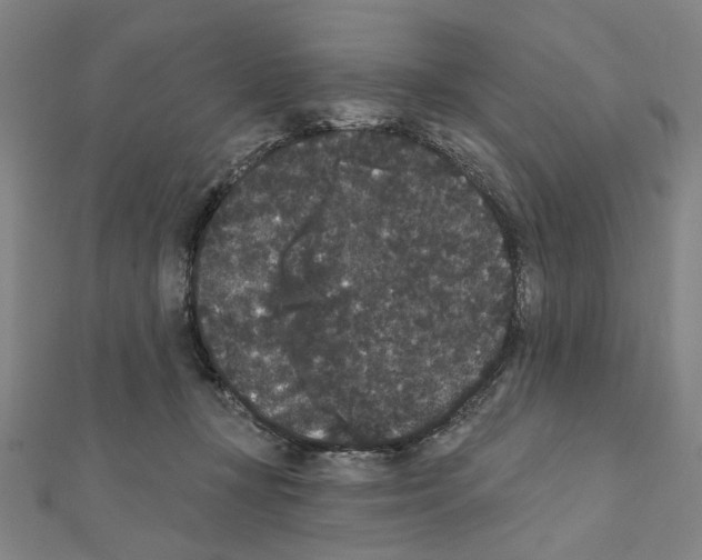 X0000111440367200908241149