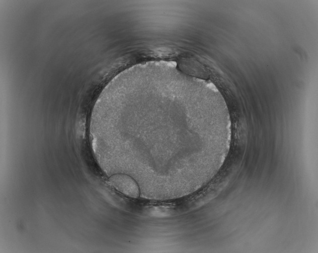X0000111440368200908241149
