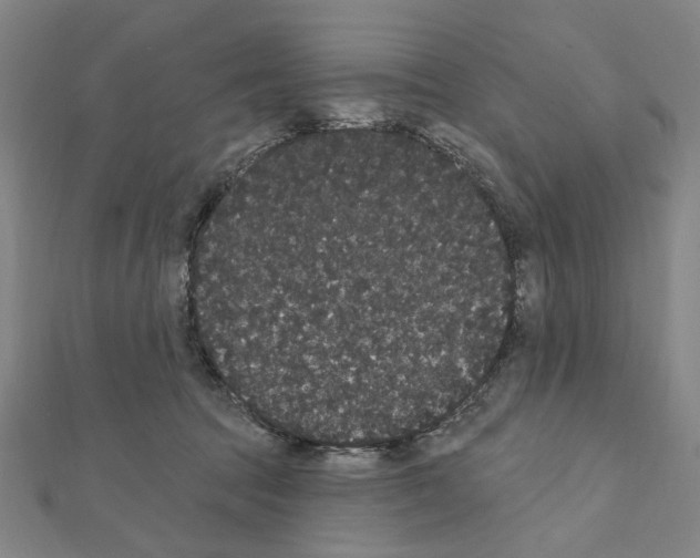 X0000111440369200908241149