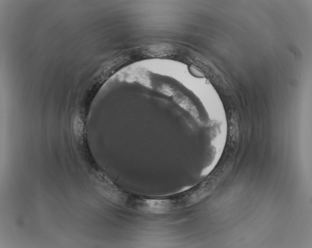 X0000111440371200908241149