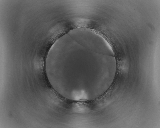X0000111440372200908241149