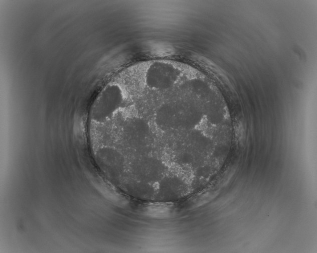 X0000111440373200908241149