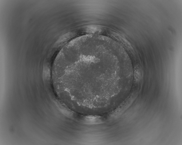 X0000111440375200908241149