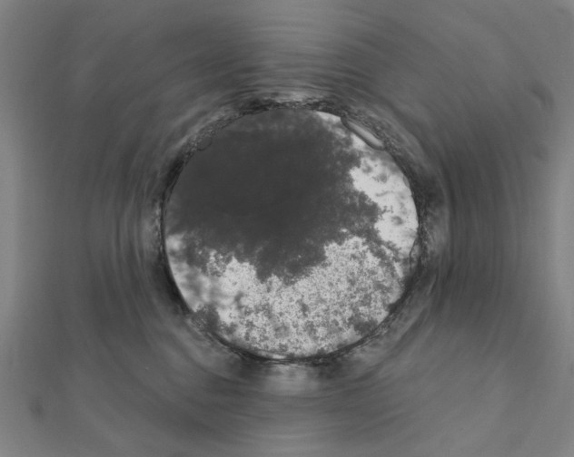 X0000111440376200908241149