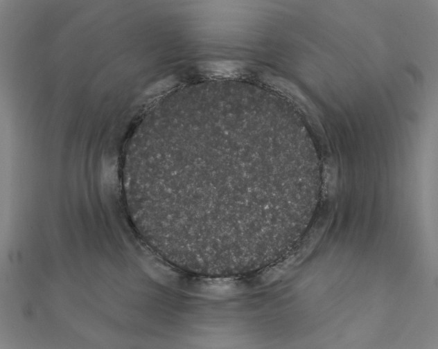 X0000111440377200908241149