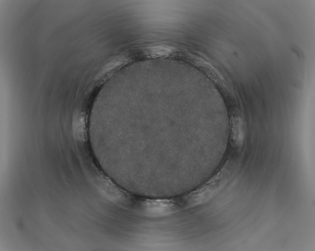 X0000111440378200908241149