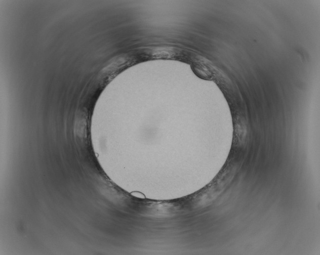 X0000111440379200908241149
