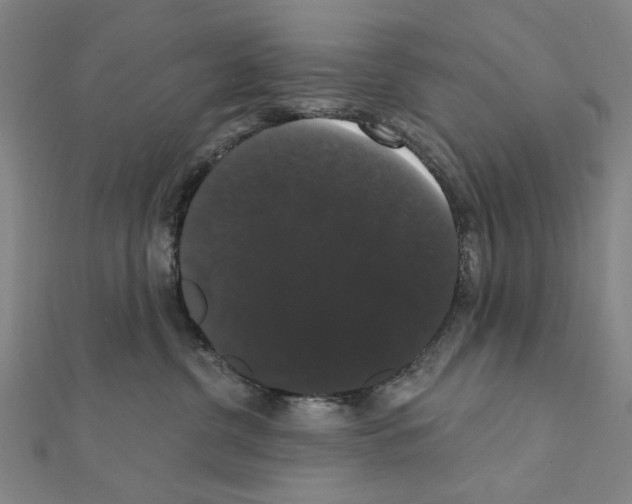 X0000111440380200908241149