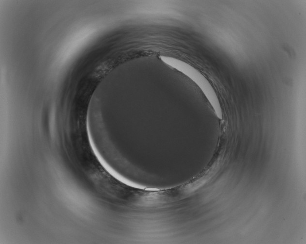 X0000111440382200908241149