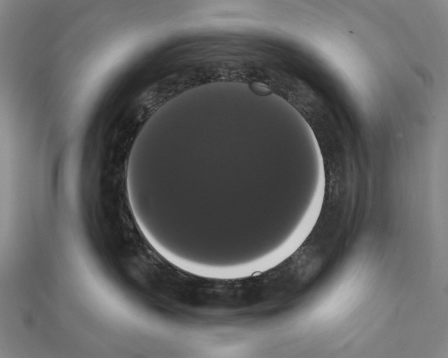 X0000111440383200908241149