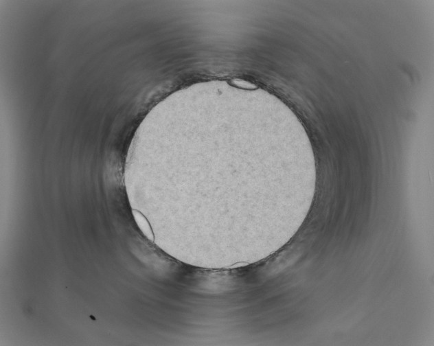 X0000111440384200908241149