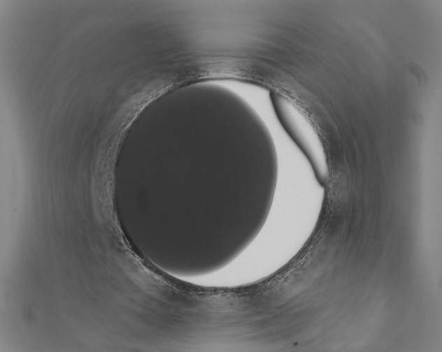 X0000111440385200908241148