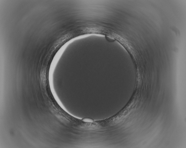 X0000111440386200908241148