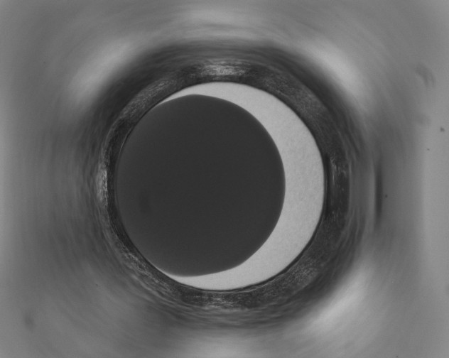 X0000111440387200908241148
