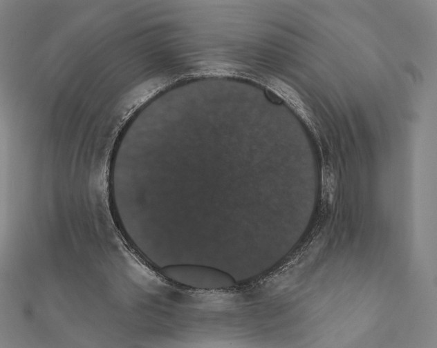 X0000111440389200908241148
