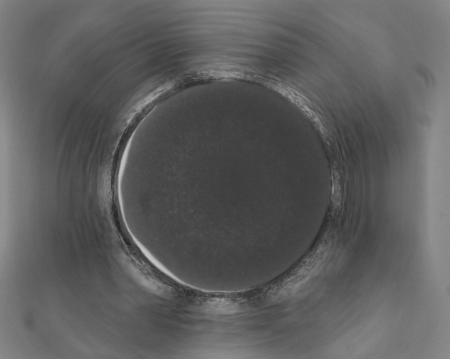X0000111440390200908241148