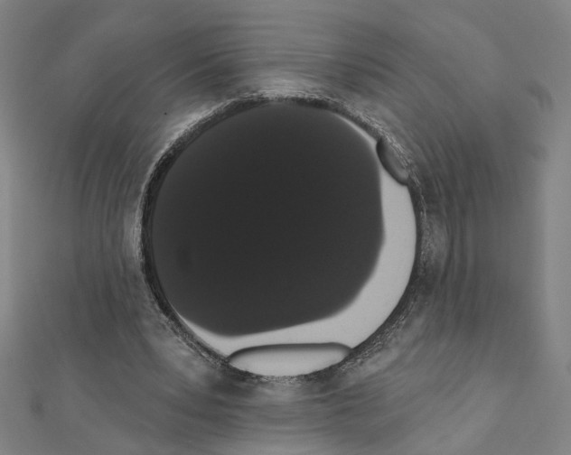X0000111440391200908241148