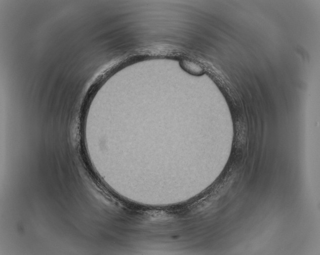 X0000111440392200908241148
