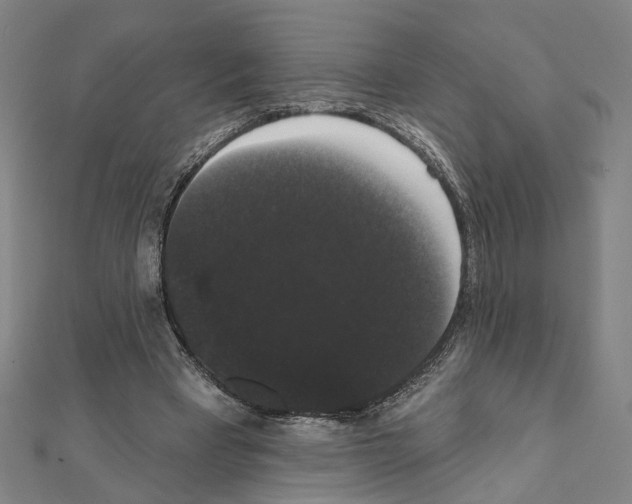 X0000111440393200908241148