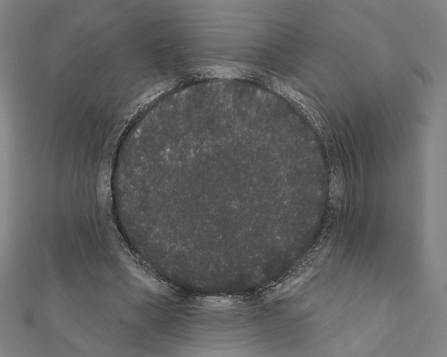 X0000111440394200908241148