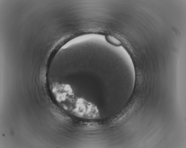 X0000111440395200908241148