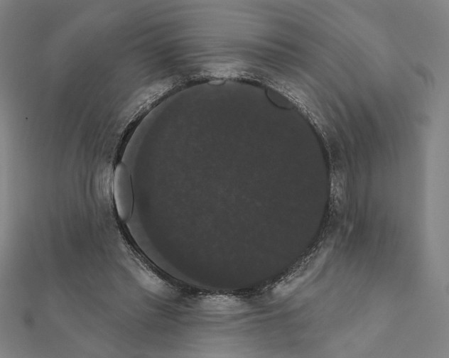 X0000111440397200908241148