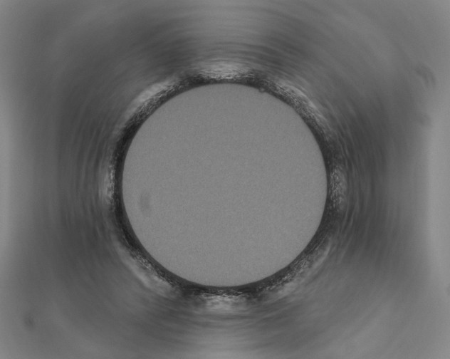 X0000111440400200908241148
