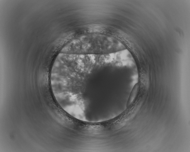 X0000111440401200908241148